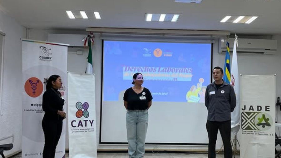 Captura de pantalla 2026-03-03 115242