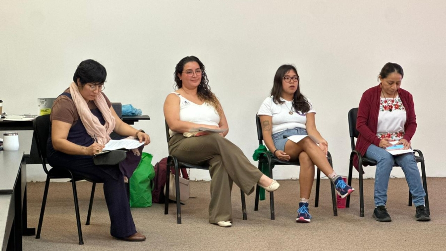 WhatsApp Image 2026-02-09 at 15.15.01